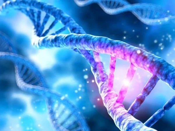 کینسر کے خطرے کے حوالے سے اہم کردار جینیات کا ہوتا ہے، ماہرین