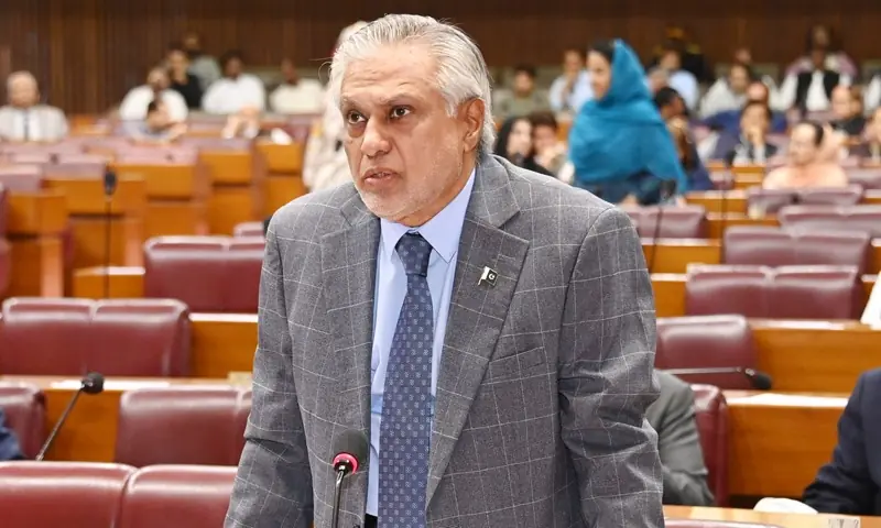 ٹرمپ کے 20 نکات ہمارے نہیں، فلسطین پر قائداعظم کی پالیسی پر ہی عمل پیرا ہیں، نائب وزیراعظم