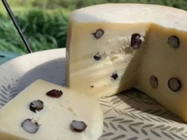 برازیل کی مشہور پنیر جس میں ذائقے کےلیے چیونٹیاں ملائی جاتی ہیں