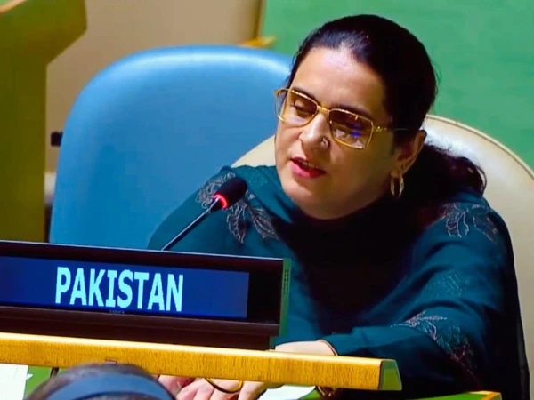 اقوامِ متحدہ، پاکستان کا کشمیری و فلسطینی خواتین کے تحفظ کا مطالبہ، پاکستانی کاؤنسلر