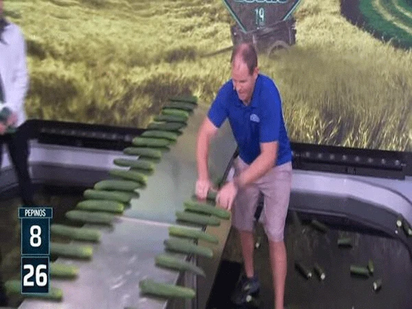 کم وقت میں زیادہ کھیرے بیچ سے توڑنے کا ریکارڈ