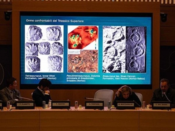 الپس کے پہاڑوں میں ہزاروں ڈائنو سارز کے قدموں کے نشانات دریافت، ماہر ارضیات حیران