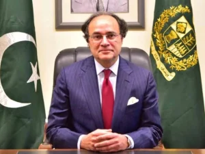 حکومت کا کام نوکریاں دینا نہیں، سوچ بدلنے کی ضرورت ہے؛ وزیرخزانہ