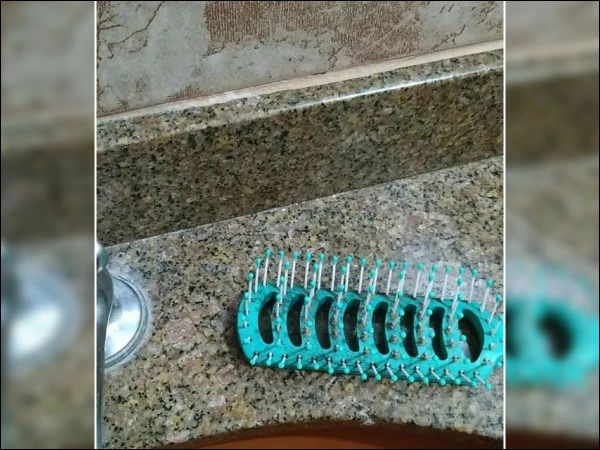 کیا آپ کو اس تصویر میں چھپکلی نظر آرہی ہے؟