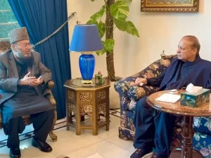 صدر مسلم لیگ ن نواز شریف سے سینیٹر حافظ عبدالکریم کی ملاقات