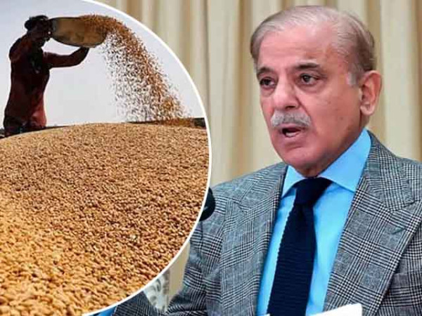 مہنگی درآمدی گندم رعایتی نرخوں پر بیچنے کی منظوری، 22 ارب روپے نقصان کا اندیشہ