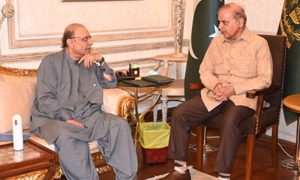 نئے سال کا ہر دن ملکی سالمیت، قومی ہم آہنگی کی نوید لے کر آئے، صدر، وزیراعظم