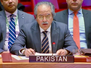 عالمی برادری مقبوضہ جموں و کشمیر میں انسانی حقوق کی پامالی کا نوٹس لے، پاکستان