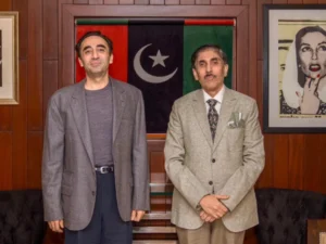 بلاول بھٹو زرداری سے پارٹی رہنماؤں کی ملاقاتیں، تنظیمی امور اور عوامی مسائل پر تبادلہ خیال