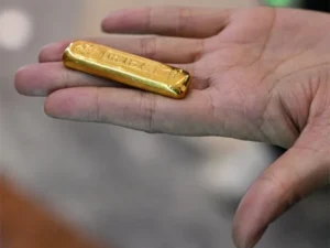 چین: بطخ کے پیٹ سے بھاری مالیت کا سونا برآمد