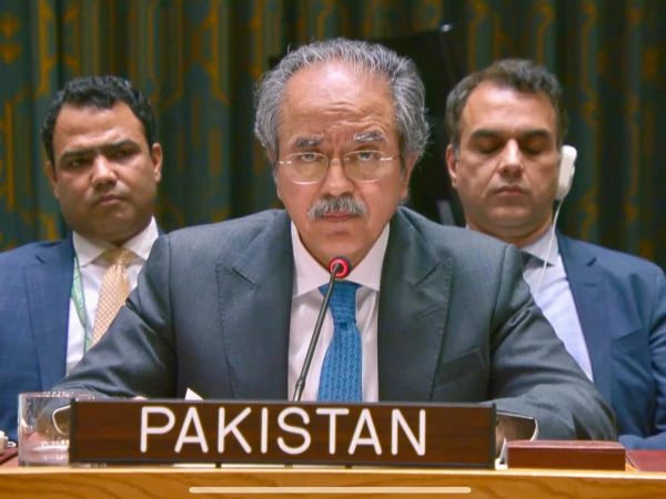 پاکستان نے اقوام متحدہ کی سلامتی کونسل میں ویٹو اختیار ختم یا محدود کرنے کا مطالبہ کر دیا
