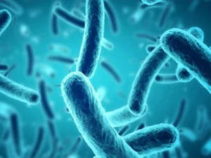 آنتوں میں موجود بیکٹیریا کا خطرناک بیماری کے لوٹنے سے تعلق کا انکشاف!