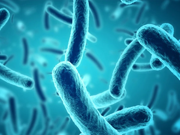 آنتوں میں موجود بیکٹیریا کا خطرناک بیماری کے لوٹنے سے تعلق کا انکشاف!