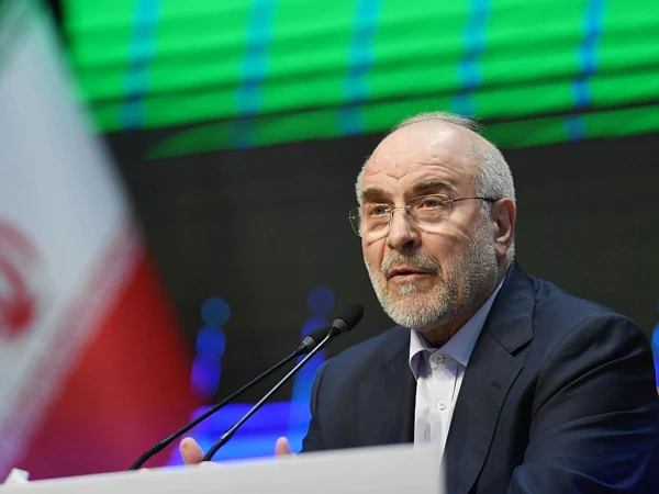 ایران امریکا مذاکرات میں پیشرف ہوئی ہے لیکن کئی اہم نکات پر اختلافات ہیں، اسپیکر ایرانی پارلیمنٹ