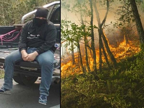 تفریح میں جنگل کو آگ لگانے والا نوجوان گرفتار