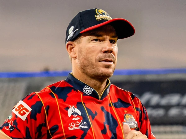 نیو ساؤتھ ویلز کا مشکل میں پھنسے ڈیوڈ وارنر کی حمایت کا اعلان