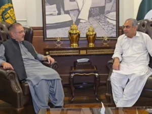 شرجیل میمن کی محسن نقوی سے ملاقات، وفاق اور سندھ میں تعاون مزید مضبوط بنانے پر اتفاق