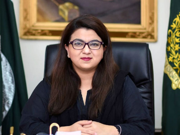وزارت آئی ٹی ڈیمانڈ کے مطابق ترقیاتی بجٹ حاصل کرنے میں کامیاب