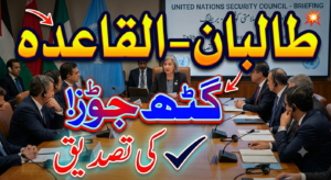 طالبان القاعدہ گٹھ جوڑ ، اقوام متحدہ کی تصدیق