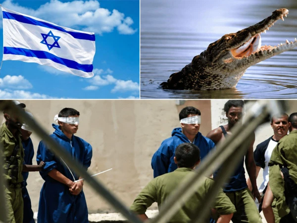 اسرائیل میں فلسطینی قیدیوں کی جیل کے گرد مگرمچھوں سے بھری خندق بنانے کی تجویز