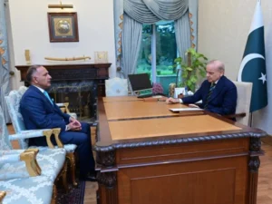 شدید بارشیں اور ممکنہ سیلاب؛ وزیراعظم کی تمام اداروں کو تیار رہنے کی ہدایت